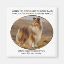 Search for colly magnets Collie