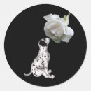 Search for dalmatian puppy stickers Animal