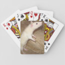 Search for furry playing cards animals
