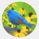 Search for bunting stickers Indigo