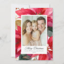 Search for poinsettia christmas cards Modern