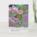 Search for butterfly sympathy cards Flower