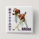 Search for spaniel accessories Canine