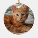 Search for orange tabby cat christmas tree decorations Kitty