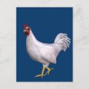 Search for cute roosters postcards Hen