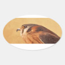 Search for kestrel stickers Falcon