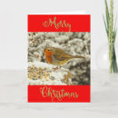 Search for wild christmas cards Photograph