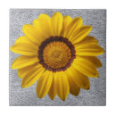 Search for stone wall tiles Concrete