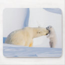 Search for slope mousepads Alaska