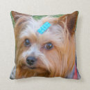 Search for yorkshire terrier cushions Puppy