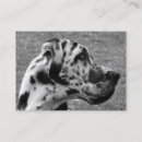 Search for great dane business cards Cute