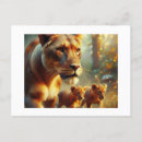 Search for lion cub postcards Cubs