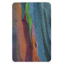 Search for abstract tree magnets Colourful