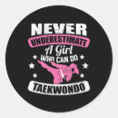 Search for taekwondo fighter stickers Black belt