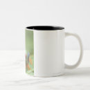 Search for red eyed tree frog mugs Scales