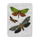 Search for butterfly magnets Butterflies