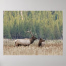 Search for adam jones posters Wyoming