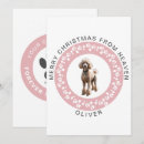Search for pet memorial cards Forever in our hearts