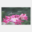 Search for mama bird stickers Flowers