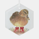 Search for rubber duck christmas tree decorations Ducky