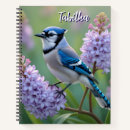 Search for blue jay Nature