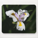 Search for multi region electronics Flower