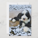 Search for doodle christmas cards Winter