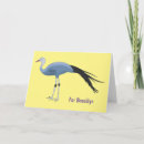 Search for crane cards Africa