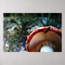 Search for slug posters Nature