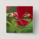 Search for heart shape badges Nobody