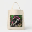 Search for environmentally bags Earth