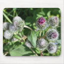 Search for spider webs mousepads White