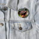 Search for ostrich badges Nature