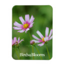 Search for cosmos magnets Flower