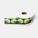 Search for hydrangea ribbon Floral