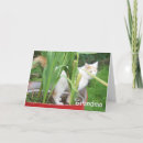 Search for grandma and grandson cards Grandmother