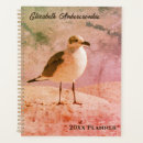 Search for organisation photography Bird