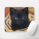 Search for black cats mousepads Modern