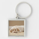 Search for innocent key rings Animal