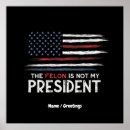 Search for the president posters Social justice