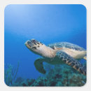 Search for grace stickers Swimming