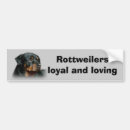 Search for rottie bumper stickers Puppy
