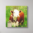 Search for farming canvas prints Cows