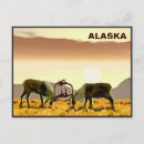 Search for caribe postcards Caribou