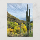 Search for autumn postcards Photography