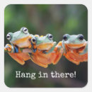 Search for green tree frog stickers Cute