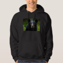 Search for bear hoodies Outdoors