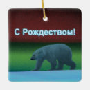 Search for aurora christmas tree decorations Nature