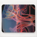 Search for human body organs Kidney