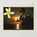 Search for aloha from hawaii postcards Hawaiian